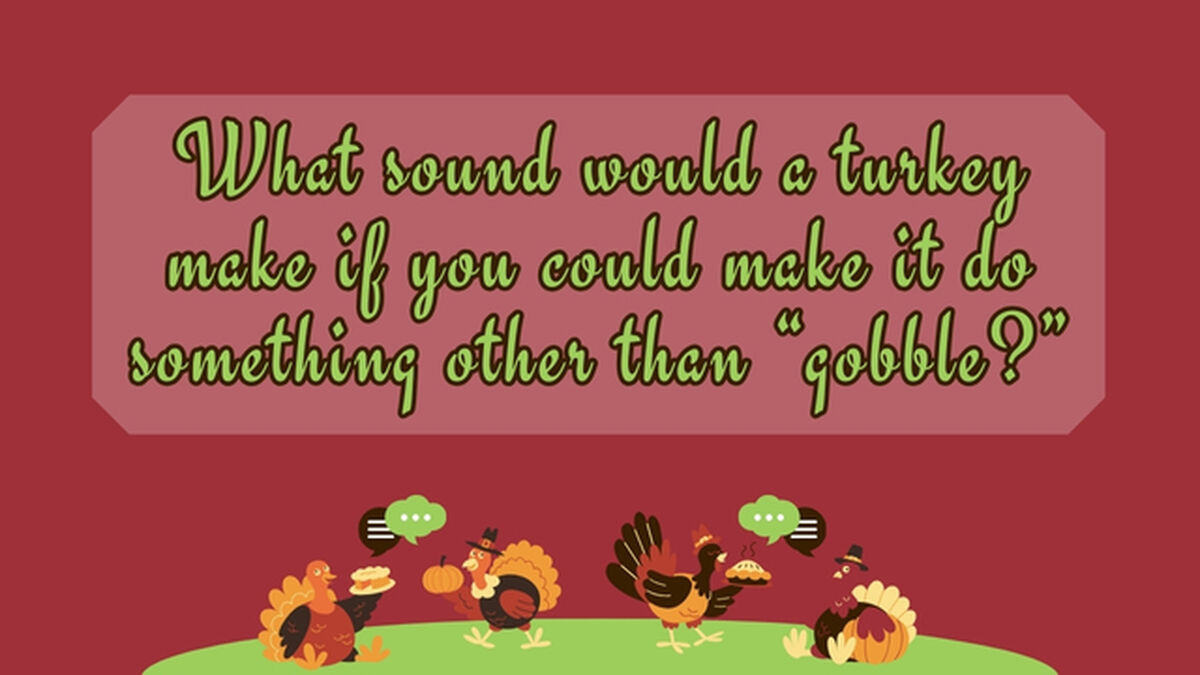 Turkey Talk image number null